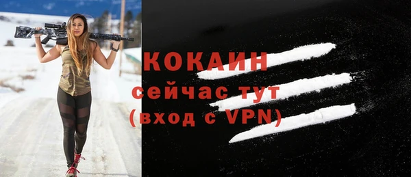 мдпв Кукмор